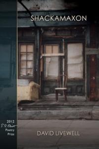 shackamaxon-david-livewell-paperback-cover-art