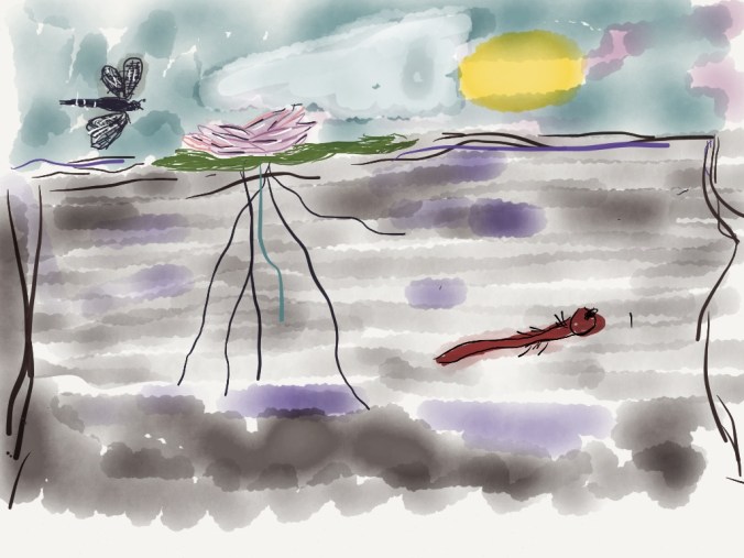 illustration 2013 jpbohannon