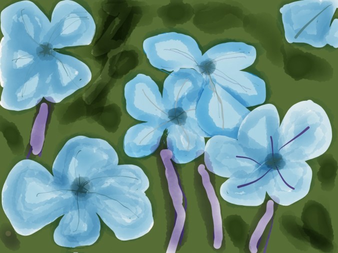 Blue Jasmine Illustration 2014 by jpbohannon