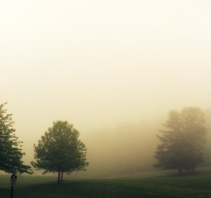 Fog Rolling In 2014 jpbohannon