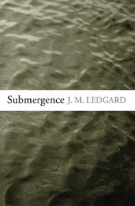 cover of the hardback edition of Submergence