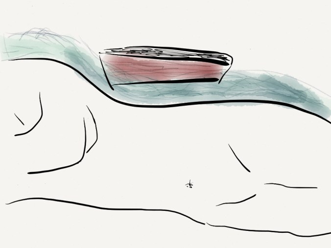 "I dreamed my lips would drift down your back like a skiff on a river." Gass "in the heart of the heart of the country." P.179